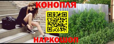 спайс Гай