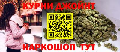 apvp Гатчина