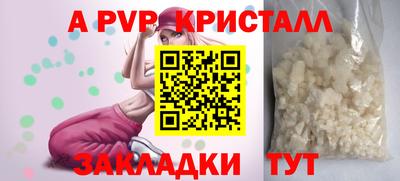 apvp Гатчина