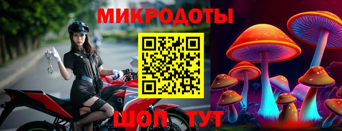 Избербаш  Галлюциногенные грибы Cubensis  Вход с VPN 